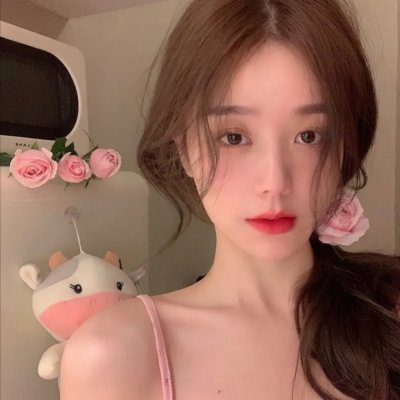 小查与寇弟的顶级冒险